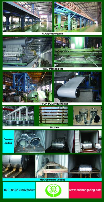 Galvanized steel coil (Galvanized steel coil)